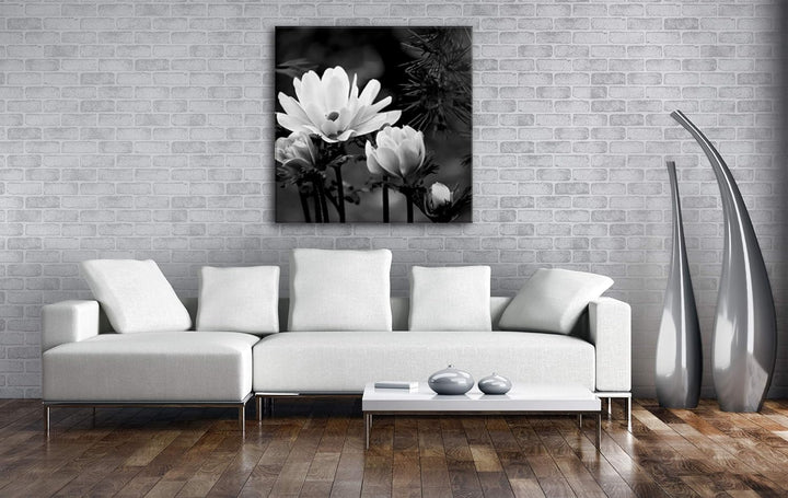 deyoli Anemonen Format: 70x70 Effekt: Schwarz&Weiss als Leinwandbild, Motiv fertig gerahmt auf Echth