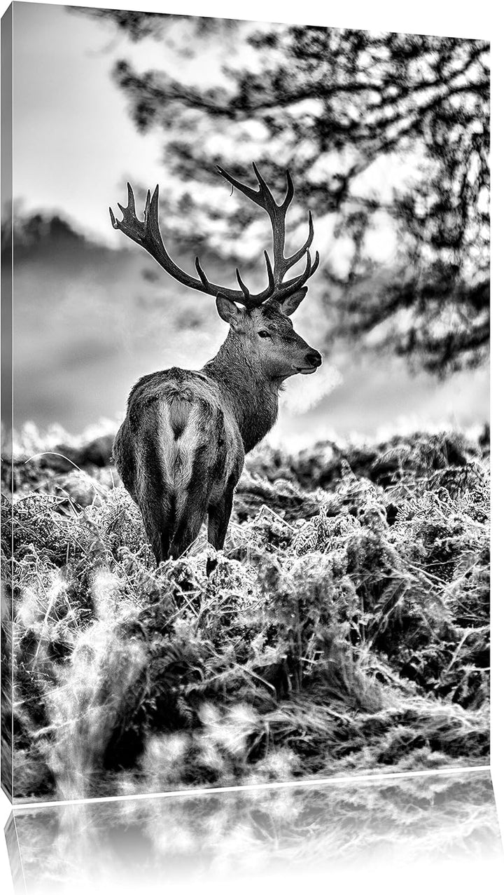 Pixxprint Hirsch im Wald als Leinwandbild/Grösse: 100x70 / Wandbild/Kunstdruck/fertig bespannt, 100x