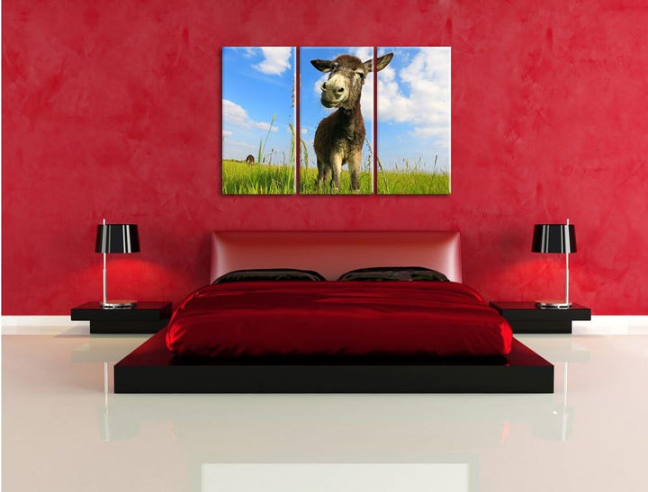 Pixxprint Esel in einem Feld als Leinwandbild/Grösse: 3Teilig (120x80) / Wandbild/Kunstdruck/fertig