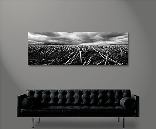 islandburner Bild Bilder auf Leinwand Feld Schwarz Weiss Felder Panorama XXL Poster Leinwandbild Wan