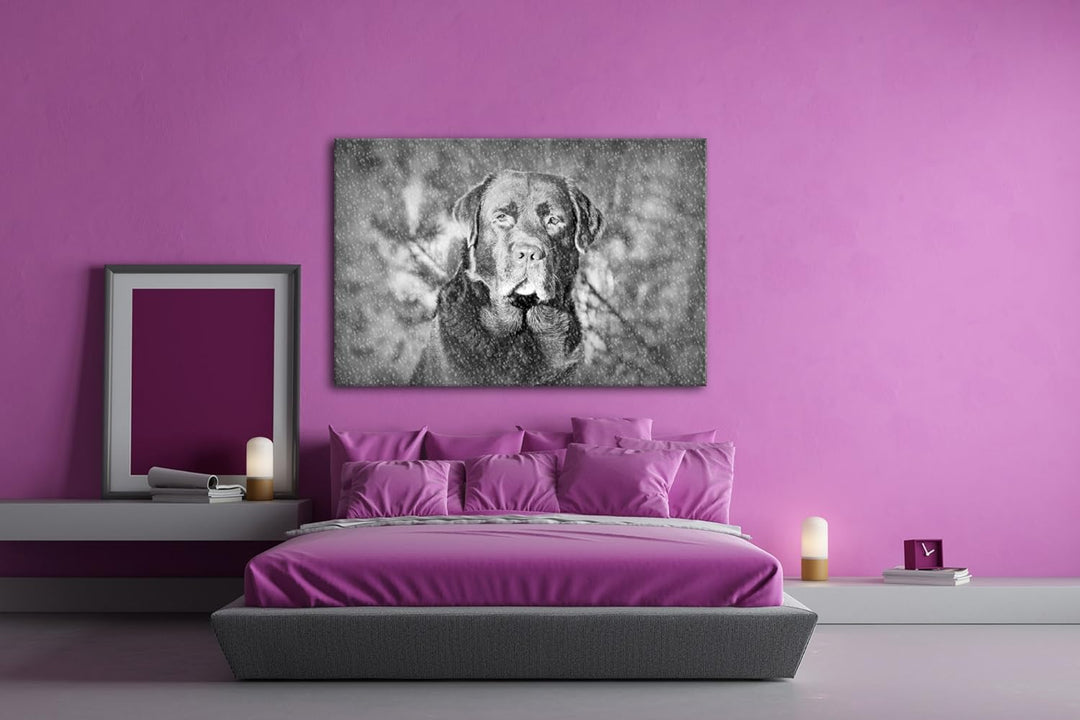 deyoli Hund im Schnee Effekt: Schwarz/Weiss Format: 80x60 als Leinwand, Motiv fertig gerahmt auf Ech