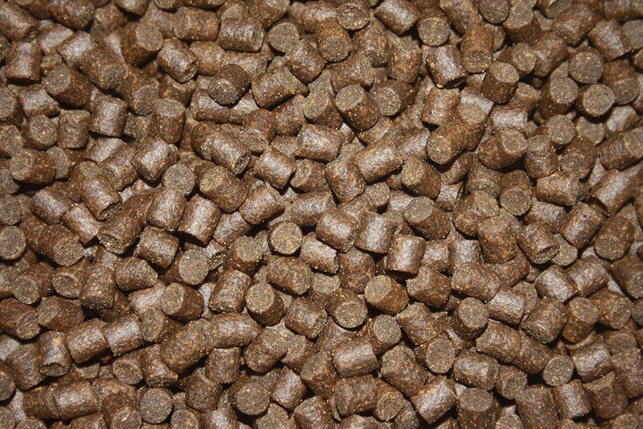 Winterfutter Koi Sinkfutter Koifutter für den Winter arktische Rohstoffe gut verdaulich bei Kälte En