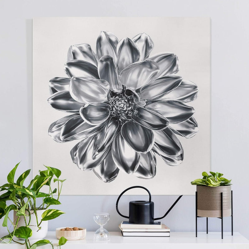 Leinwandbild - Dahlie Blume Silber Metallic 30 x 30cm - Canvas 30cm x 30cm - Canvas, 30cm x 30cm - C