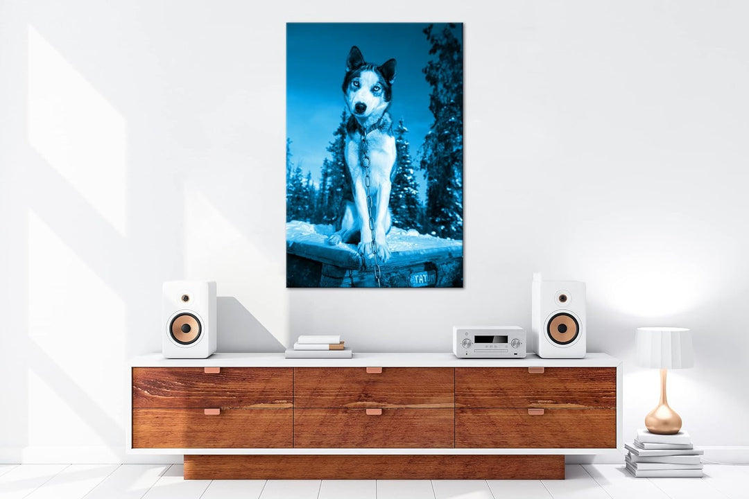 deyoli knuffiger Husky Format 80x60 Effekt: Monocrome Blau als Leinwandbild, Motiv fertig gerahmt au