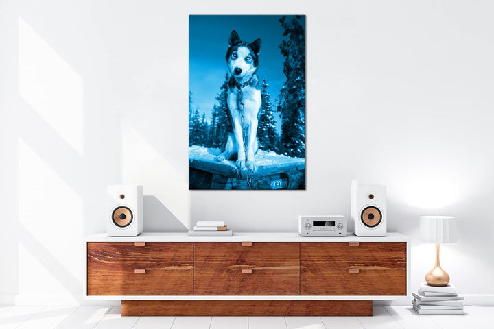 deyoli knuffiger Husky Format 80x60 Effekt: Monocrome Blau als Leinwandbild, Motiv fertig gerahmt au