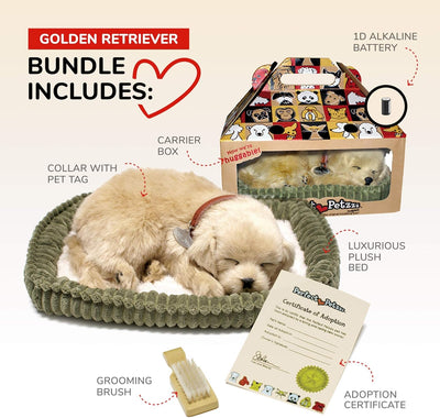 Perfect Petzzz - 4908 - Plüsch - Hund Golden Retriever