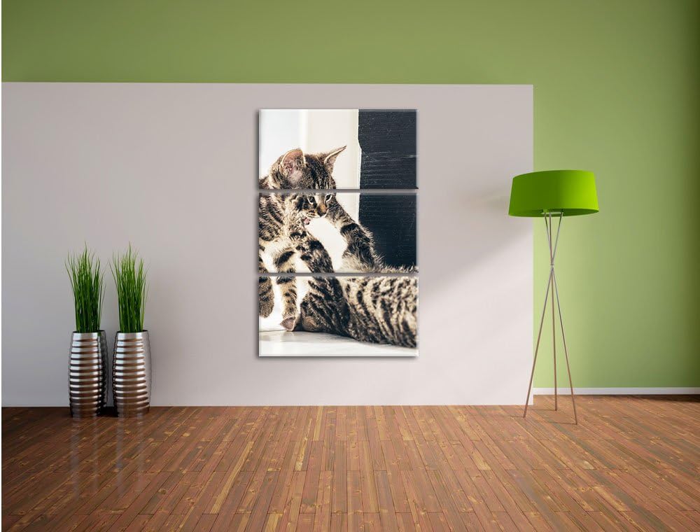 Pixxprint Fighting Cats 3-Teiler Leinwandbild 120x80 Bild auf Leinwand