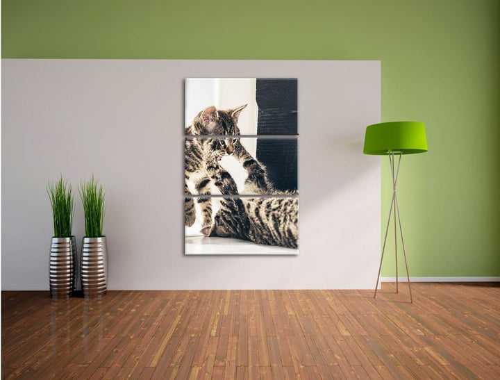 Pixxprint Fighting Cats 3-Teiler Leinwandbild 120x80 Bild auf Leinwand