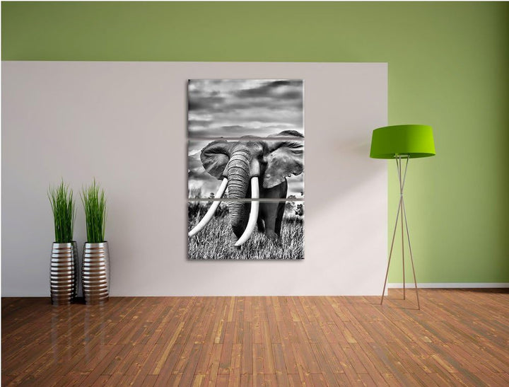 Pixxprint Stolzer Elefant in Savanne als Leinwandbild/Grösse: 3 Teilig (120x80) cm/Wandbild/Kunstdru