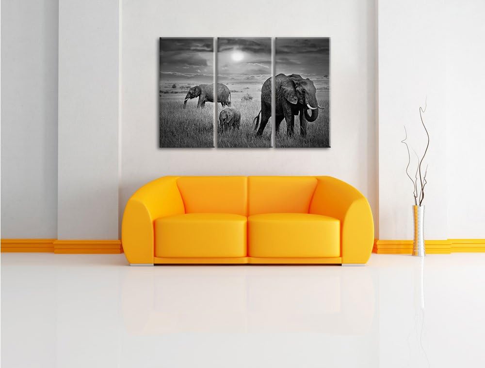 Pixxprint Elefanten bei Sonnenuntergang in der Savanne Kunst B&W 3-Teiler Leinwandbild 120x80 Bild a