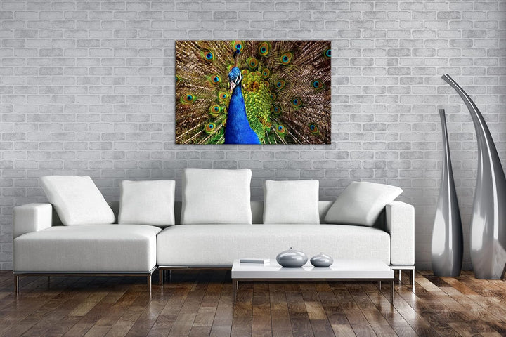 deyoli himmlisches Pfau Gefieder Format: 80x60 cm als Leinwandbild, Motiv fertig gerahmt auf Echthol