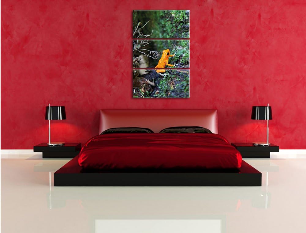 Pixxprint hochgiftiger Kleiner Frosch als Leinwandbild/Grösse: 3 Teilig (120x80) cm/Wandbild/Kunstdr