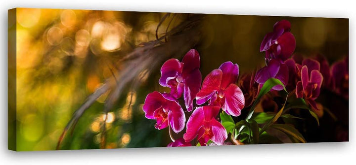 Feeby Wanddeko Blumen Leinwandbild Kunstdruck für Wohnzimmer Violett 120x40 cm Leinwandbild 120x40 c