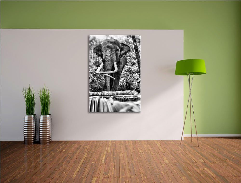 Pixxprint Elefant am Bach / 100x70cm Leinwandbild bespannt auf Holzrahmen/Wandbild Kunstdruck Dekora