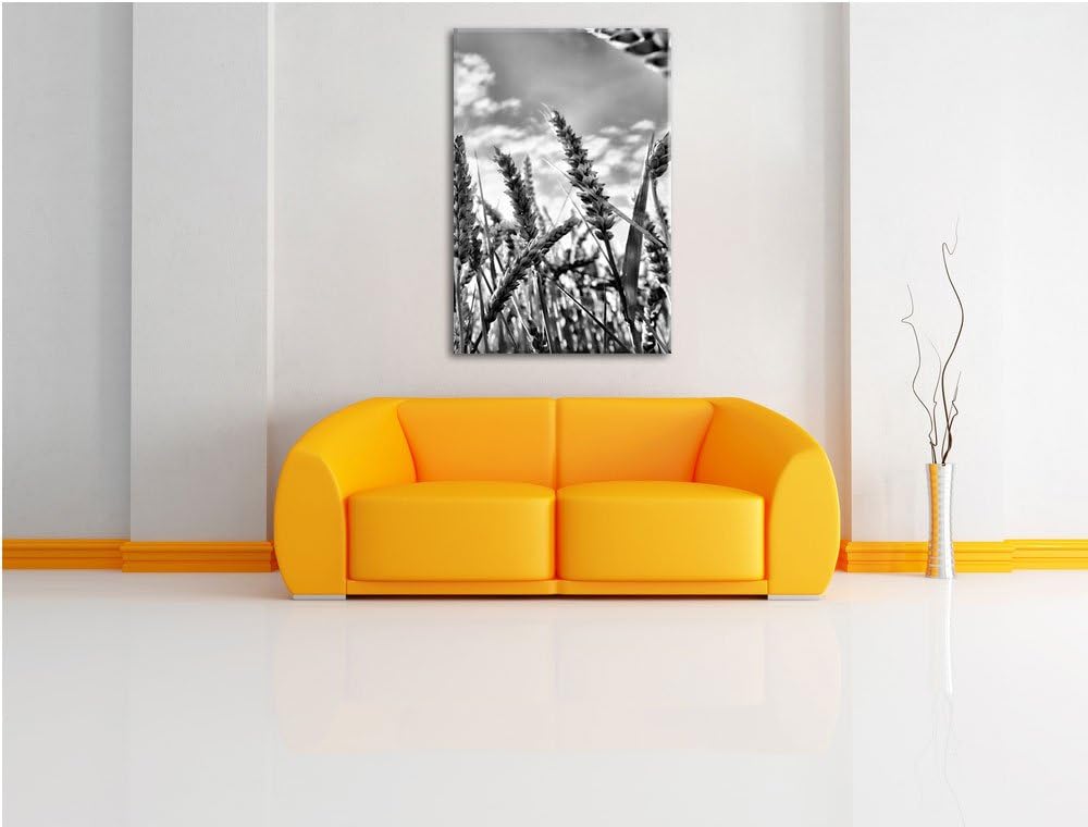 Pixxprint Getreide im Sonnenschein/Format: 100x70cm / Leinwandbild fertig bespannt Wandbild Kunstdru