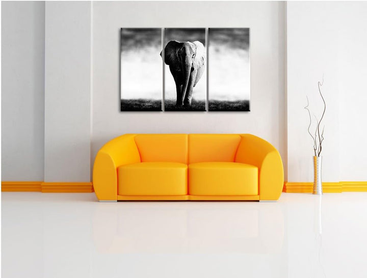 Elefant im Alleingang schwarz/weiss 3-Teiler Leinwandbild 120x80 Bild auf Leinwand, XXL riesige Bild