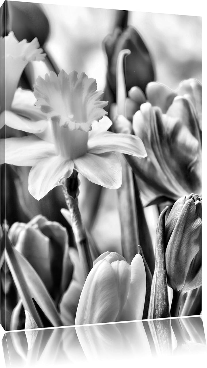 Pixxprint Osterglocken und Tulpen als Leinwandbild/Grösse: 100x70 cm/Wandbild/Kunstdruck/fertig besp