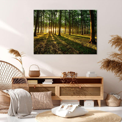 Bilder auf Leinwand 100x70cm Leinwandbild Wald grün Sonnenstrahlen Natur Gross Wanddeko Bild Schlafz