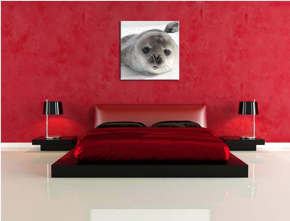 Pixxprint süsses Robben Baby als Leinwandbild/Grösse: 70x70 cm/Wandbild/Kunstdruck/fertig bespannt,