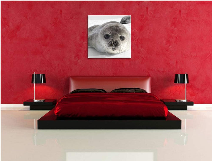 Pixxprint süsses Robben Baby als Leinwandbild/Grösse: 70x70 cm/Wandbild/Kunstdruck/fertig bespannt,