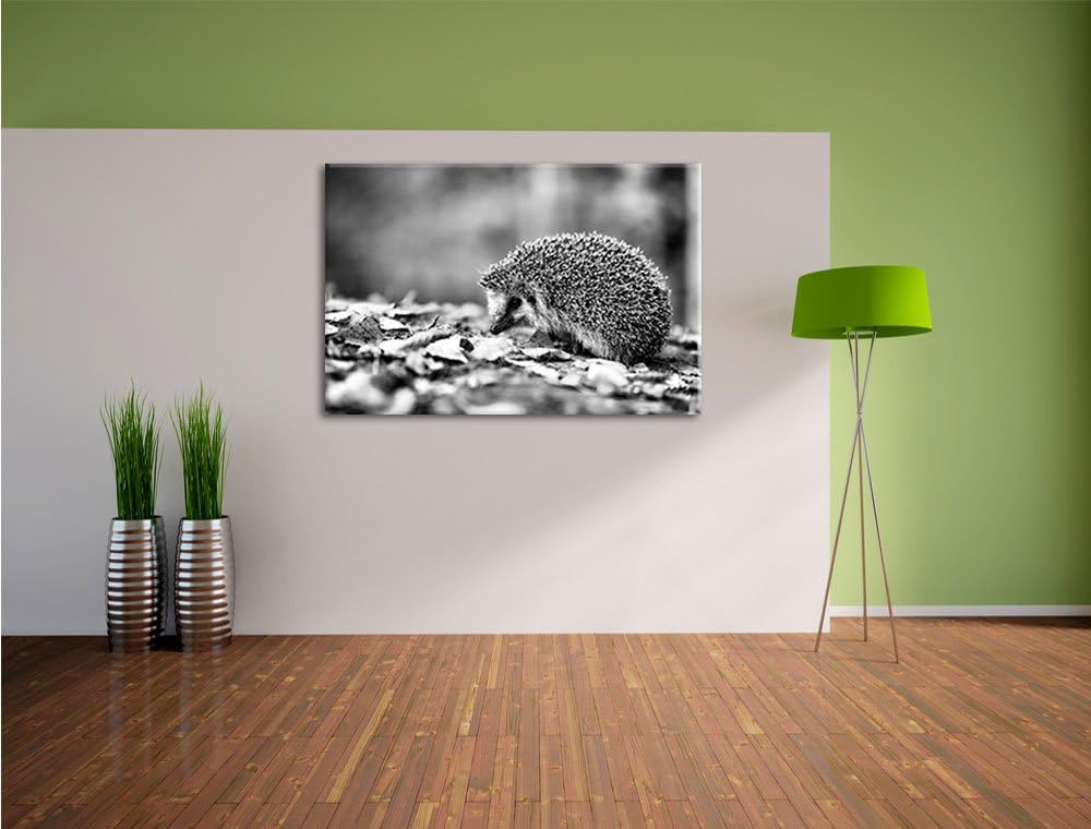 Monocrome, Igel im Laub , Format: 100x70 auf Leinwand, XXL riesige Bilder fertig gerahmt mit Keilrah