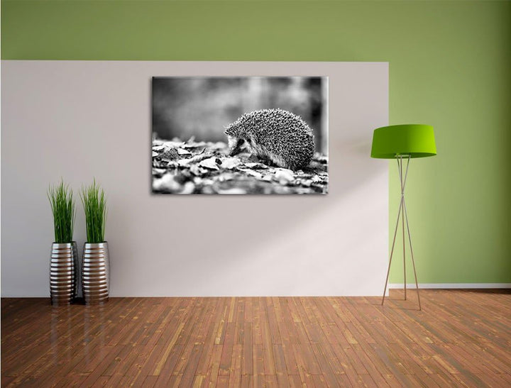 Monocrome, Igel im Laub , Format: 100x70 auf Leinwand, XXL riesige Bilder fertig gerahmt mit Keilrah