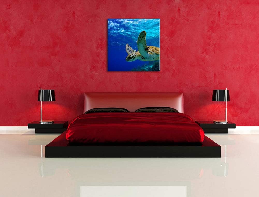 Schildkröte im Riff, Format: 70x70 auf Leinwand, XXL riesige Bilder fertig gerahmt mit Keilrahmen, K