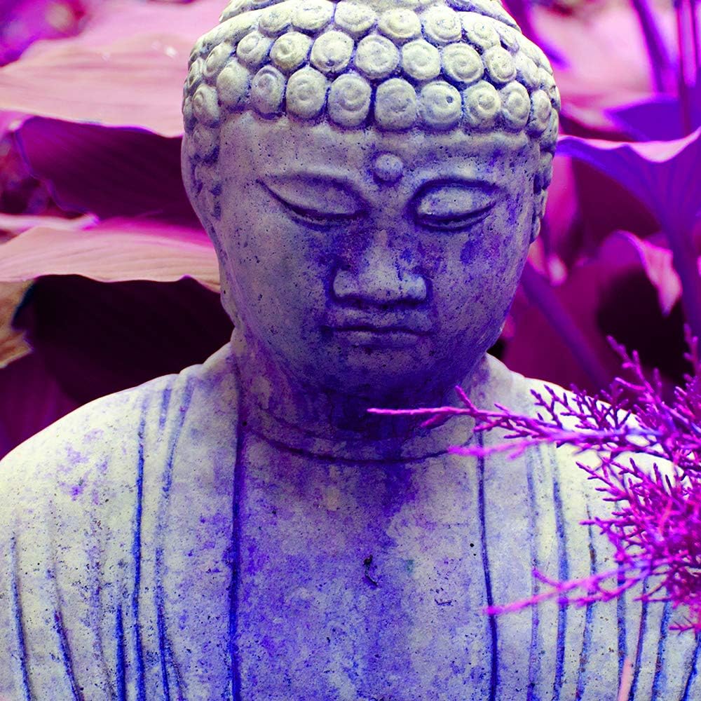 Feeby Wanddeko XXL Buddha Leinwandbild 5 Teilig Abstrakt Blätter Natur violett 100x70 cm Leinwandbil