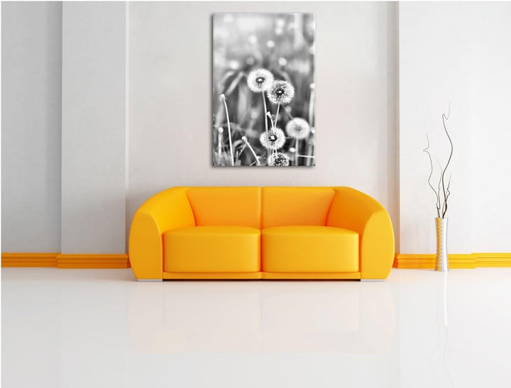 Pixxprint Pusteblumen auf Frühlingswiese/Format: 100x70cm / Leinwandbild fertig bespannt Wandbild Ku