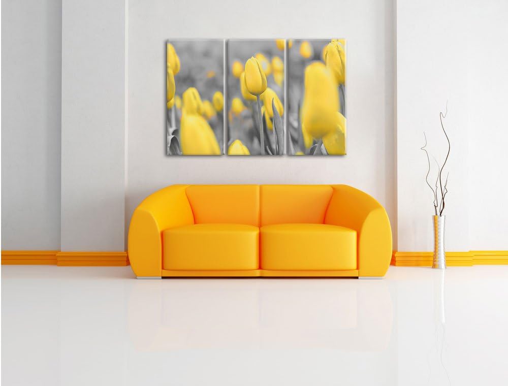 Pixxprint Gelbes Tulpenmeer schwarz/weiss 3-Teiler Leinwandbild 120x80 Bild auf Leinwand