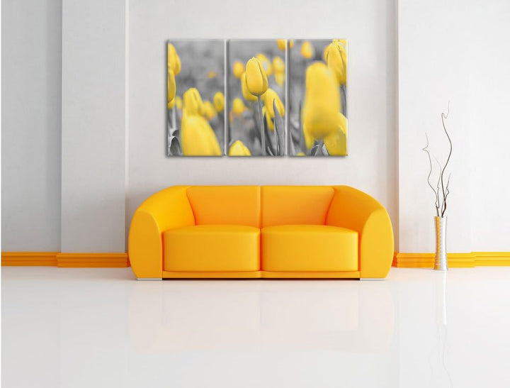 Pixxprint Gelbes Tulpenmeer schwarz/weiss 3-Teiler Leinwandbild 120x80 Bild auf Leinwand