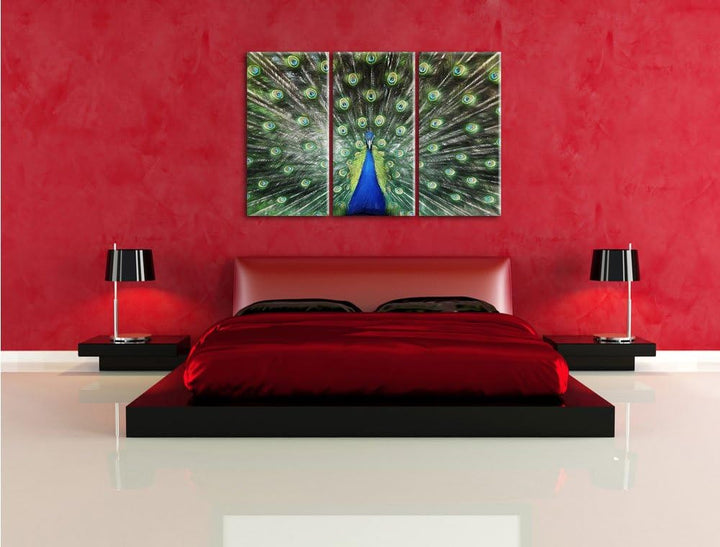 Pixxprint Schöner Pfau mit seinem Gefieder Kunst Buntstift Effekt 3-Teiler Leinwandbild 120x80 Bild