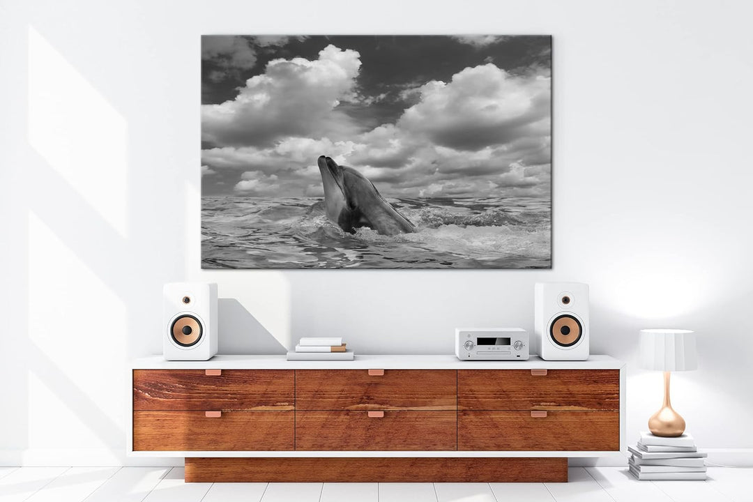 deyoli zauberhafter Delfin Effekt: Schwarz&Weiss Format: 80x60 als Leinwandbild, Motiv fertig gerahm