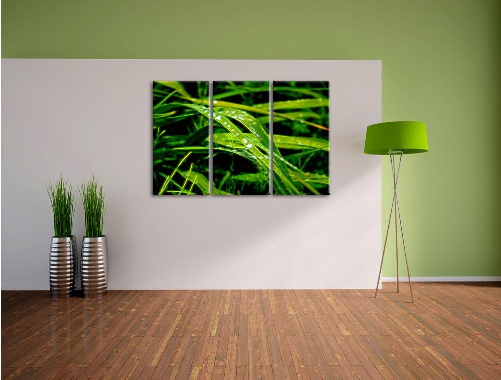 Pixxprint Grashalme Neon Lights Effekt 3-Teiler Leinwandbild 120x80 Bild auf Leinwand