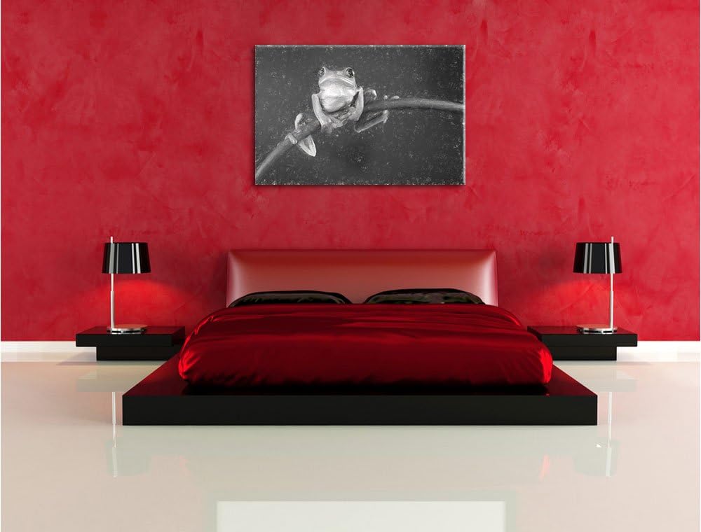 Pixxprint Baum-Frosch auf Bambus Kunst als Leinwandbild/Grösse: 100x70 / Wandbild/Kunstdruck/fertig