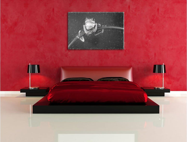 Pixxprint Baum-Frosch auf Bambus Kunst als Leinwandbild/Grösse: 100x70 / Wandbild/Kunstdruck/fertig