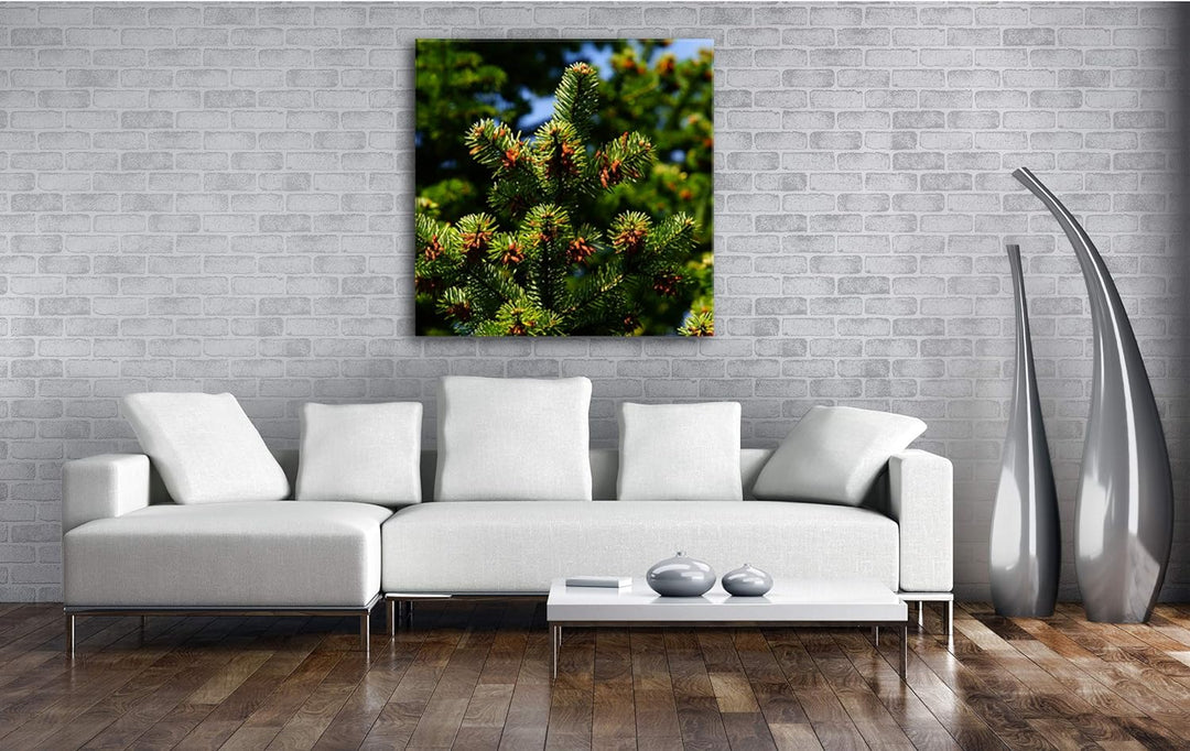 deyoli Pinienbaum mit Zapfen Format: 60x60 als Leinwandbild, Motiv fertig gerahmt auf Echtholzrahmen