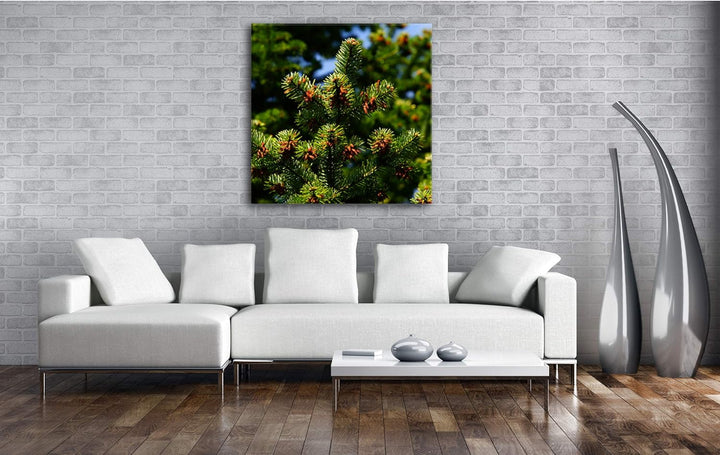 deyoli Pinienbaum mit Zapfen Format: 60x60 als Leinwandbild, Motiv fertig gerahmt auf Echtholzrahmen
