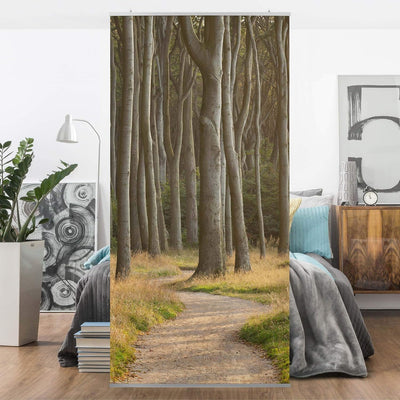 Bilderwelten Raumteiler Waldweg in Norddeutschland 250x120cm inkl. transparenter Halterung 250 x 120