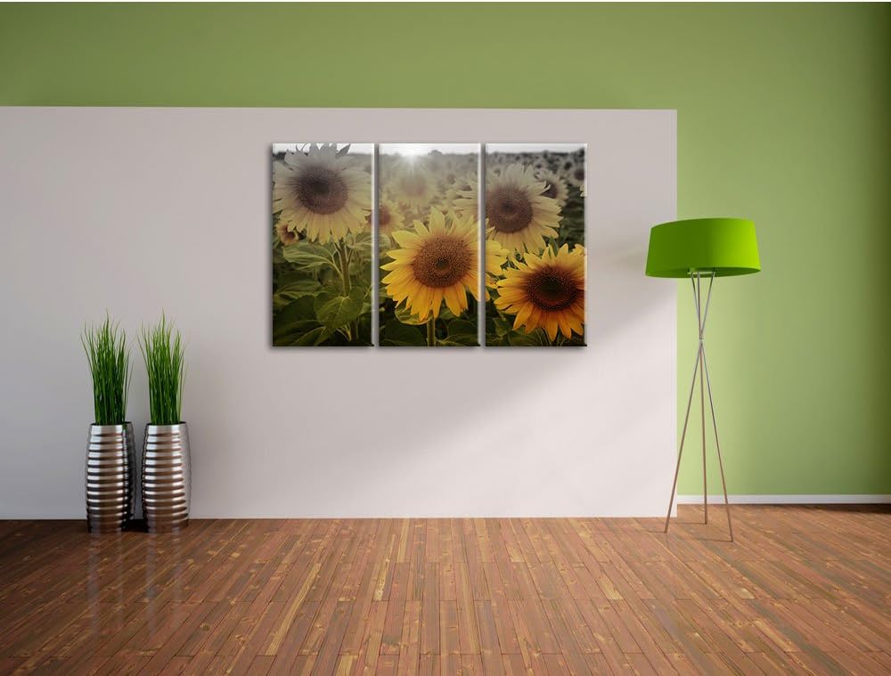 Pixxprint Sonnenblumen auf dem Feld als Leinwandbild/Grösse: 3 Teilig (120x80) cm/Wandbild/Kunstdruc
