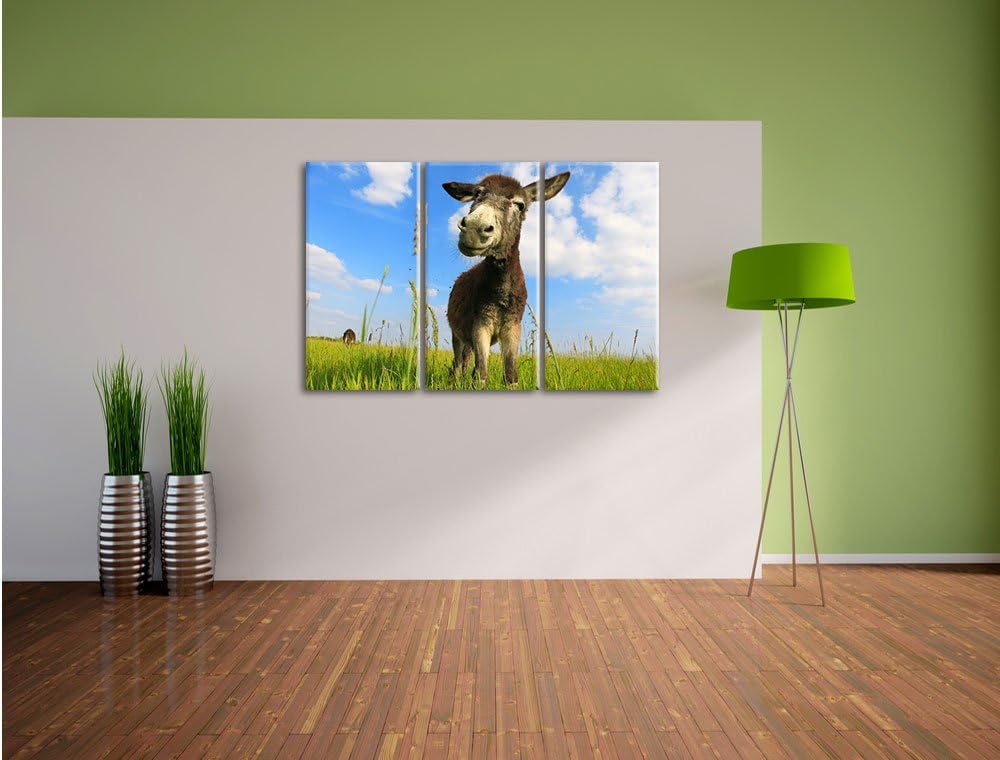 Pixxprint Esel in einem Feld als Leinwandbild/Grösse: 3Teilig (120x80) / Wandbild/Kunstdruck/fertig