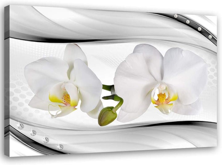 Feeby Leinwandbild Blumen Bild Kunstdruck Orchideen Weiss 70x50 cm Leinwandbild 70x50 cm Weiss_a, Le
