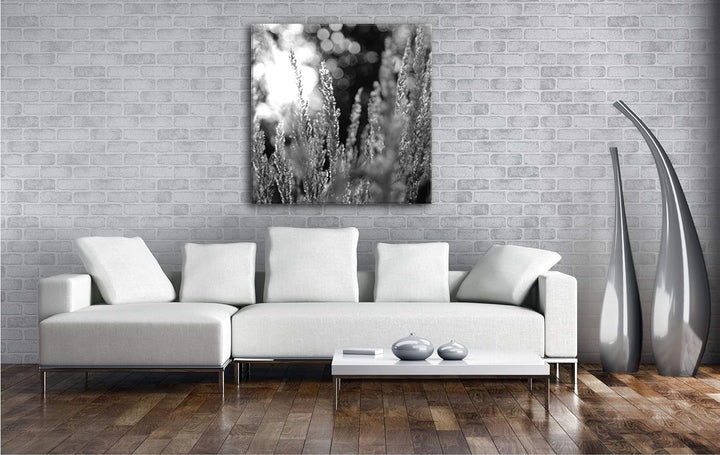 deyoli Weidengräser bei Morgendämmerung Format: 70x70 Effekt: Schwarz&Weiss als Leinwandbild, Motiv