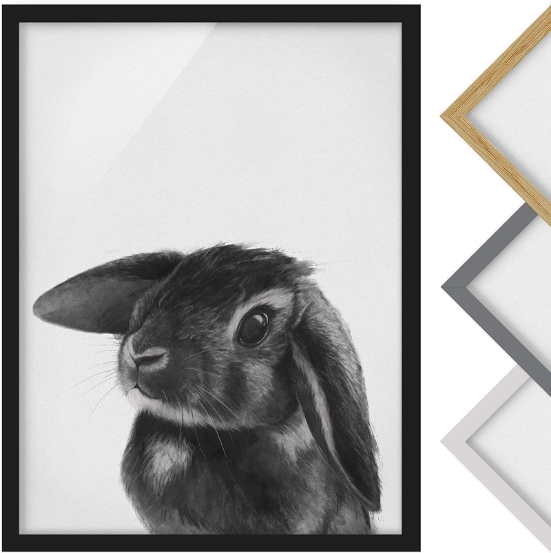 Bild gerahmt Hase Schwarz Weiss Zeichnung Schwarz ohne Passepartout 70x50cm 70cm x 50cm Schwarz - Oh