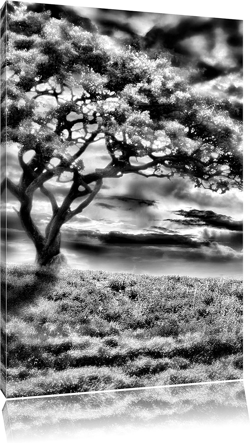 Pixxprint Einsamer Baum schwarz weiss / 100x70cm Leinwandbild bespannt auf Holzrahmen/Wandbild Kunst