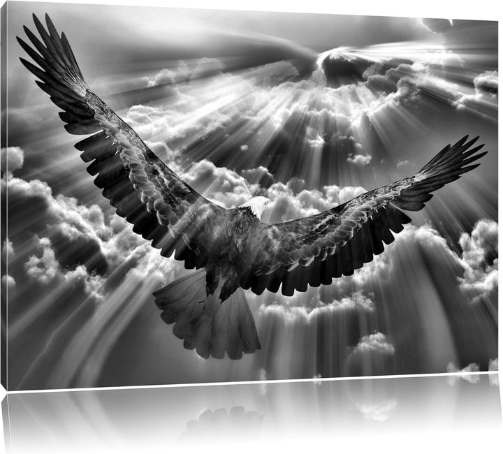 Pixxprint Monocrome, Adler über den Wolken, Format: 100x70 auf Leinwand, 100x70