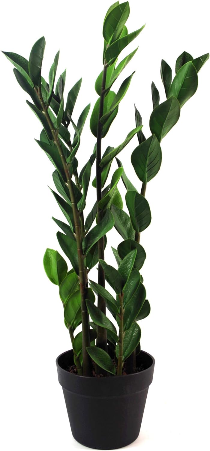 Leaf Large Foliage Plant Design UK Kunstpflanze mit Topf, realistisch, Plastik, Zanzibar Gem, 75 cm