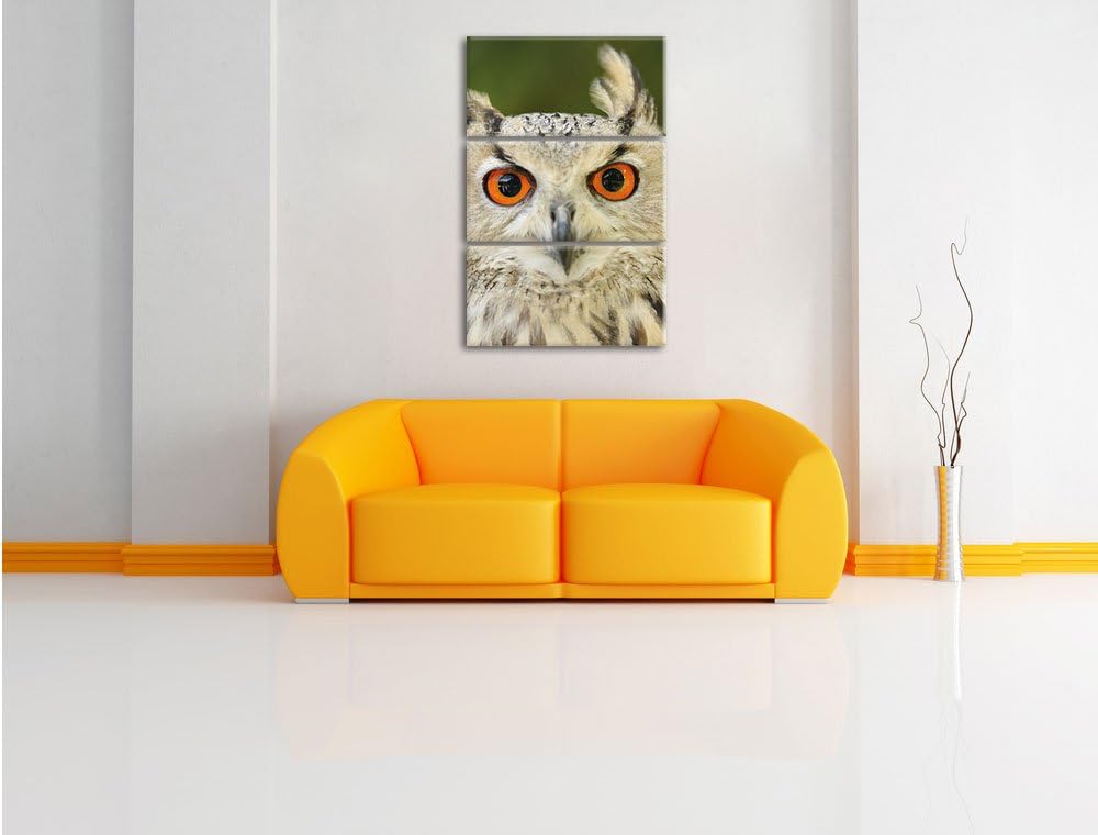 Pixxprint Eulen Kautz Orange Augen als Leinwandbild/Grösse: 3 Teilig (120x80) cm/Wandbild/Kunstdruck