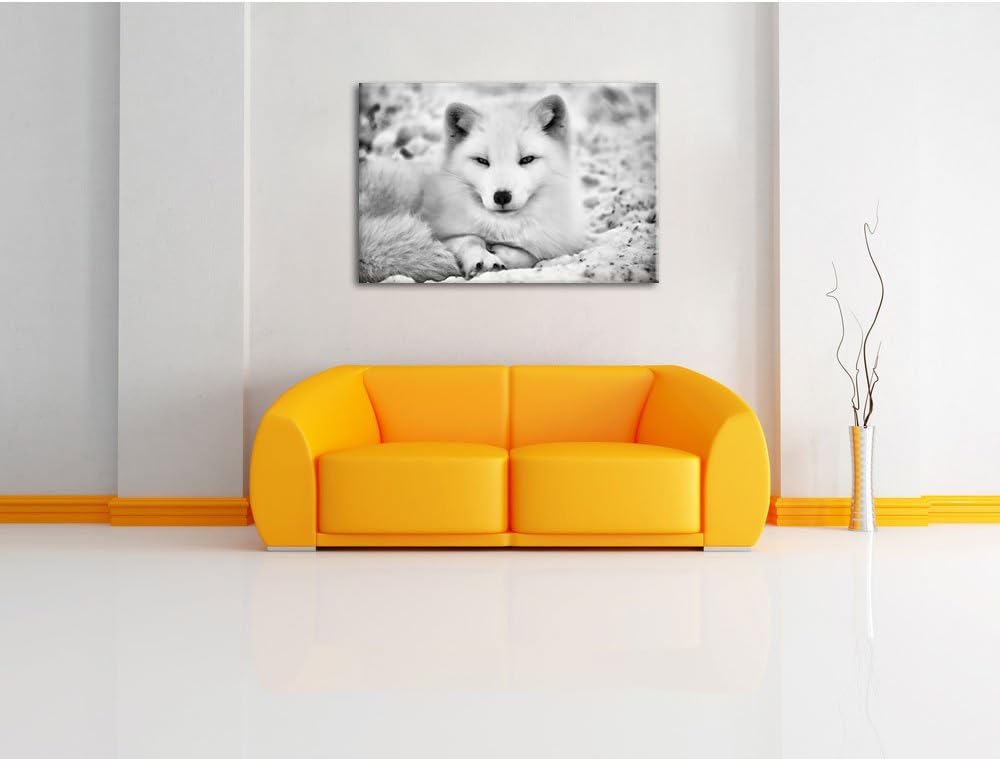 Monocrome, Weisser Fuchs, Format: 100x70 auf Leinwand, XXL riesige Bilder fertig gerahmt mit Keilrah