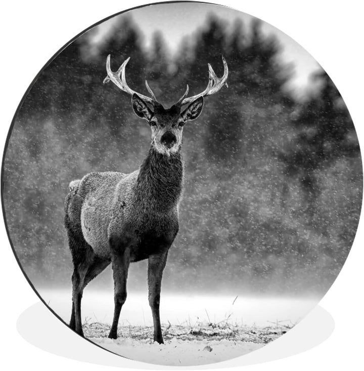 MuchoWow Wandbild Rund Wanddeko Deko Wohnzimmer Bilder 60x60 cm Tiere - Hirsche - Winter - Schwarz -